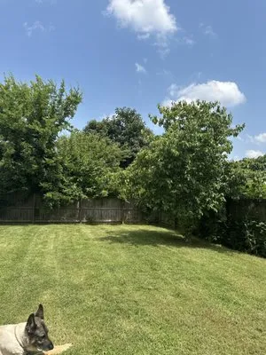 Quick Cut Lawn Services