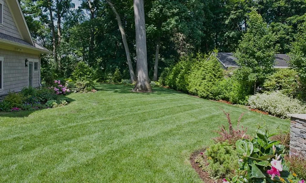 Reliable yard maintenance for residential properties in Greenville, TX by Quick Cut Lawns