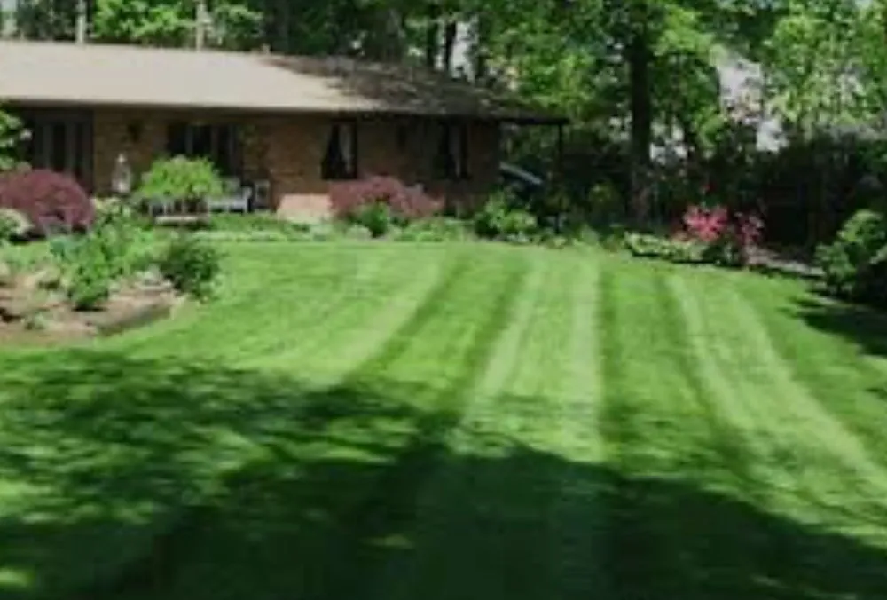 Custom landscaping services in Greenville, TX - Quick Cut Lawns