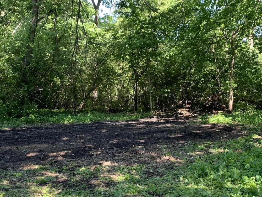 Reliable residential landscaping for residential properties in Sycamore, IL by Quick Cut