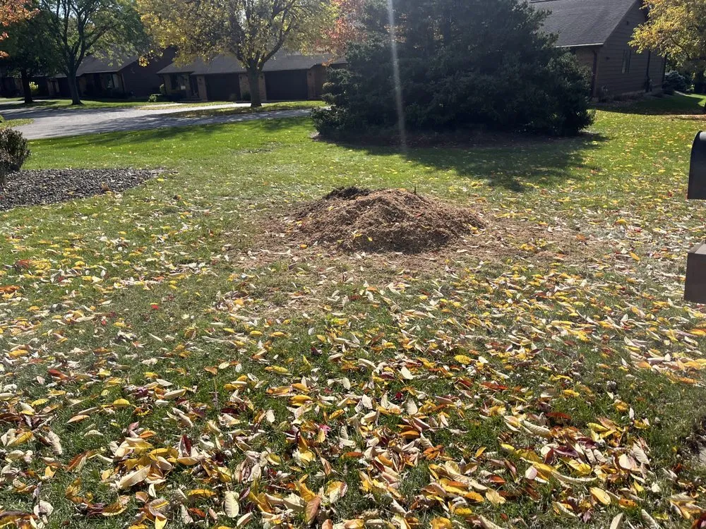 Top-rated yard maintenance near you across Sycamore, IL - Quick Cut