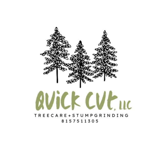 Custom outdoor landscaping for homes in Sycamore, IL by Quick Cut