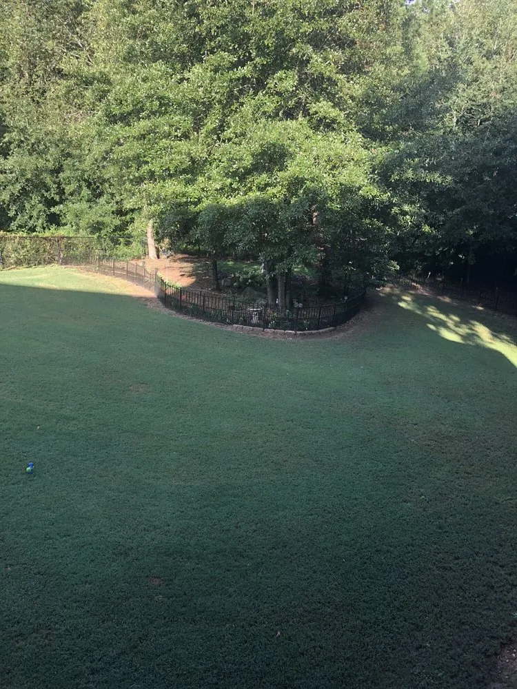 Trusted yard cleanup service in Grayson, GA - Quick Cuts