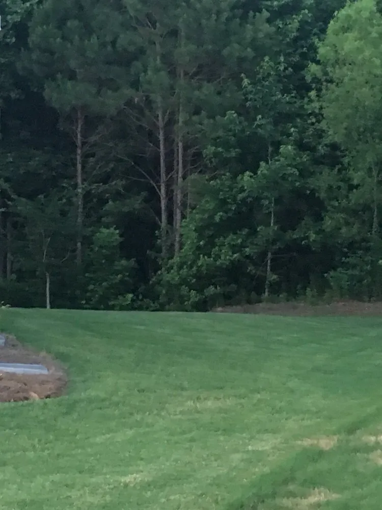 Top-rated landscape design for outdoor upgrades across Grayson, GA - Quick Cuts