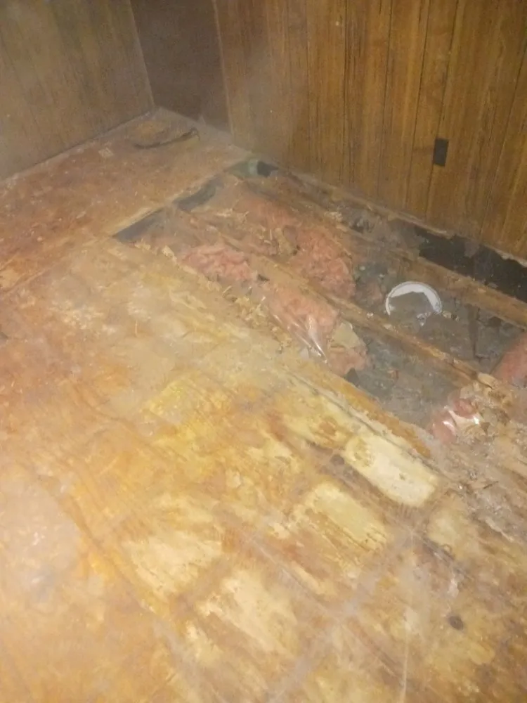 Professional yard maintenance in Madisonville, TN by Quick Cuts Landscaping