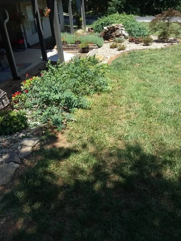 Professional landscaping services for year-round maintenance in Madisonville, TN by Quick Cuts Landscaping