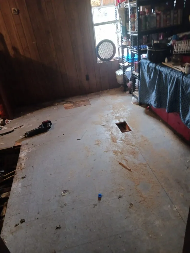 Reliable lawn care service for beautiful yards in Madisonville, TN by Quick Cuts Landscaping