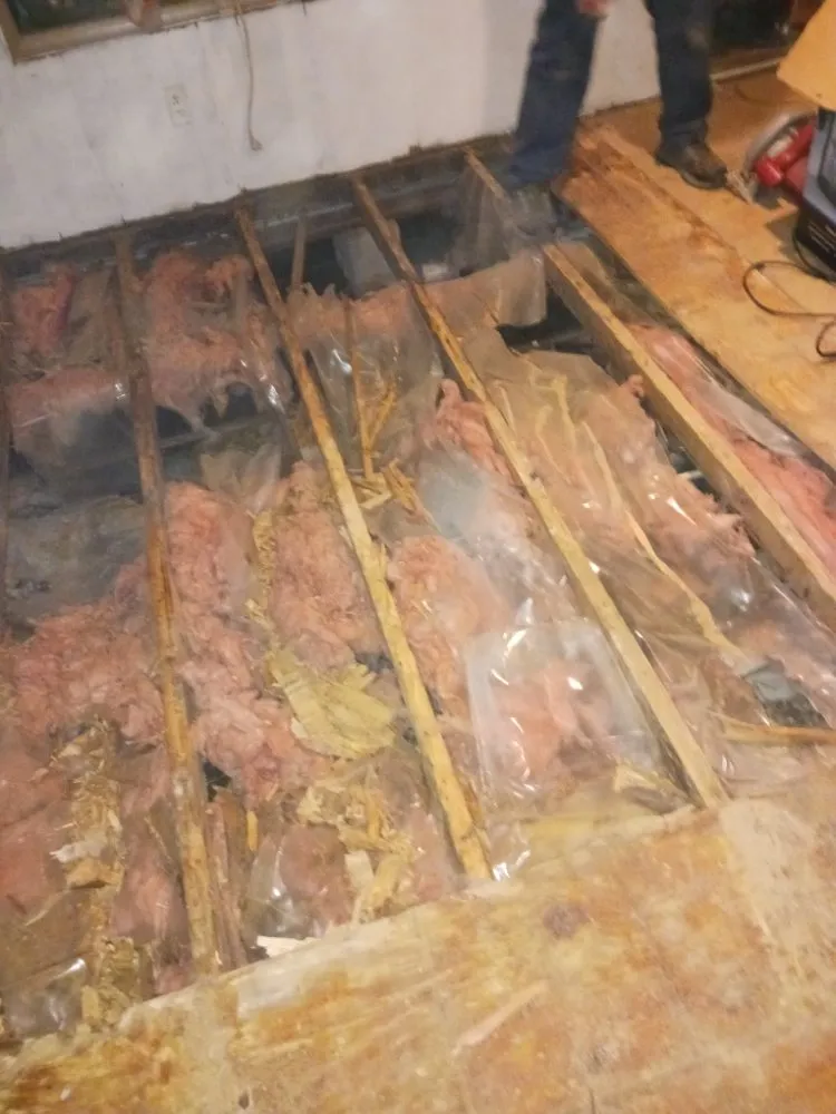 Professional yard cleanup service experts serving Madisonville, TN - Quick Cuts Landscaping