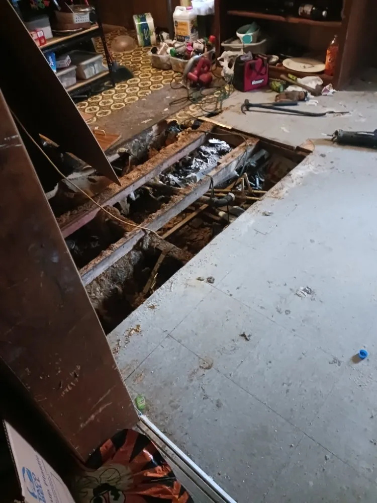 Local lawn care service experts serving Madisonville, TN - Quick Cuts Landscaping