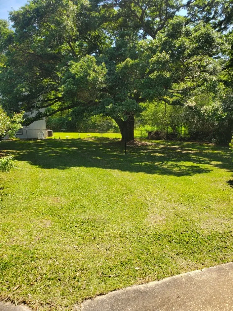 Expert yard maintenance for homes across Prichard, AL - Quick Cuts Landscaping