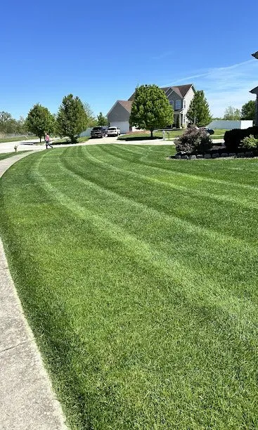 Trusted yard cleanup service experts serving Bradley, IL - Quick Cuts Lawn Care