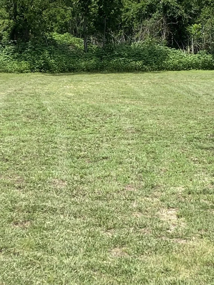 Expert yard maintenance in Moody, TX - Quick Cuts Lawn Service