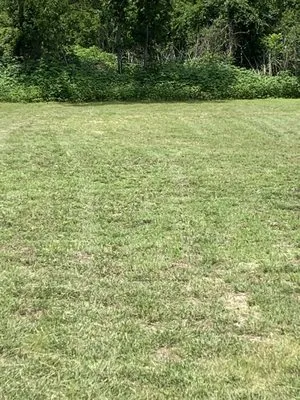 Quick Cuts Lawn Service