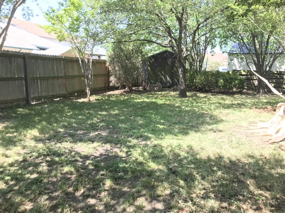 Expert yard cleanup service in San Antonio, TX by Quick Cuts Plus