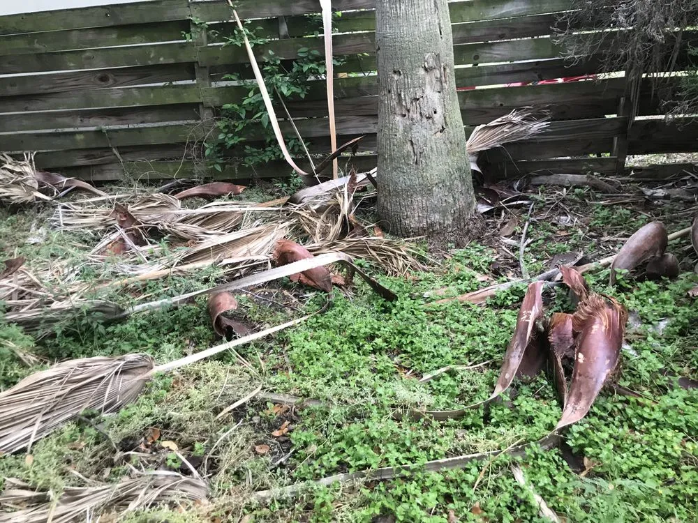 Affordable landscaping services experts serving San Antonio, TX - Quick Cuts Plus