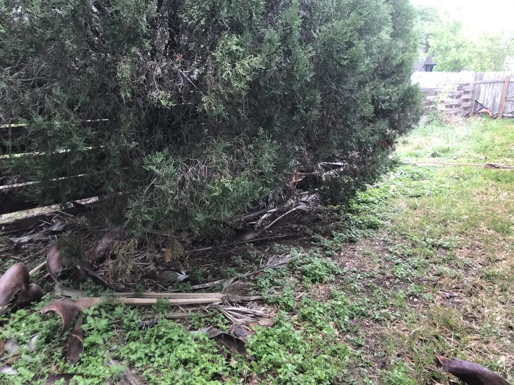 Local landscape installation experts serving San Antonio, TX - Quick Cuts Plus