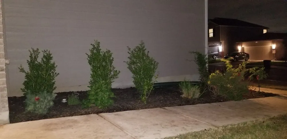 Local yard maintenance in San Antonio, TX - Quick Cuts Plus