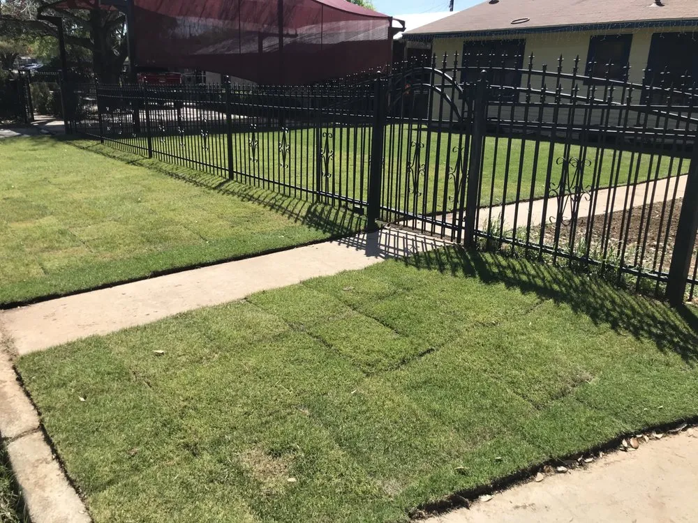 Expert outdoor landscaping experts serving San Antonio, TX - Quick Cuts Plus