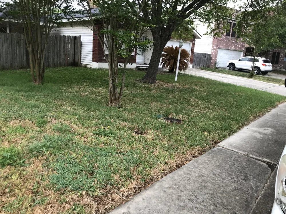 Trusted lawn mowing service for beautiful yards in San Antonio, TX by Quick Cuts Plus