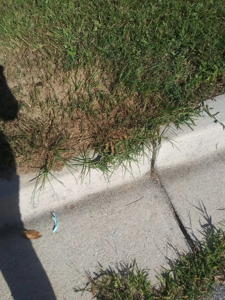 Custom lawn mowing service experts serving Conyers, GA - Quick Cutz Lawn services