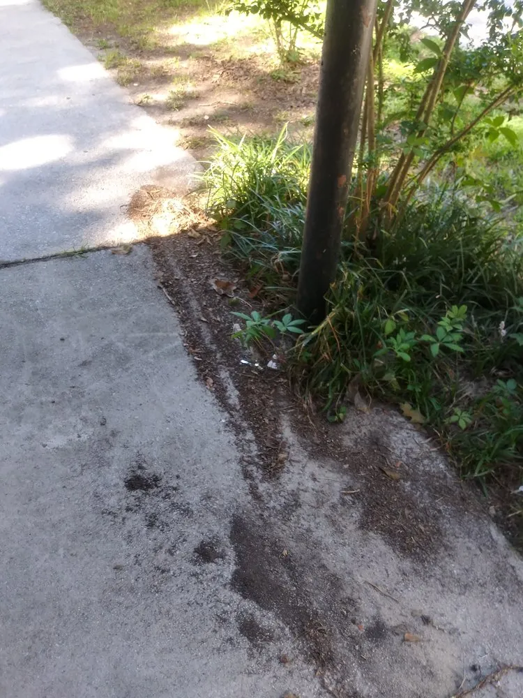 Trusted lawn care service for residential properties across Conyers, GA - Quick Cutz Lawn services