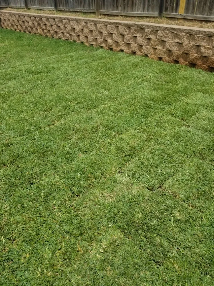 Custom lawn mowing service experts serving Tyler, TX - Quick Drops Lawn Care