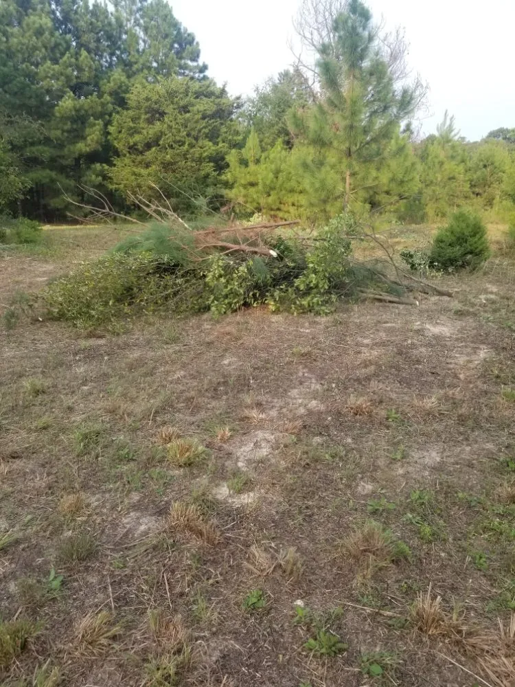 Affordable lawn care service in Tyler, TX - Quick Drops Lawn Care