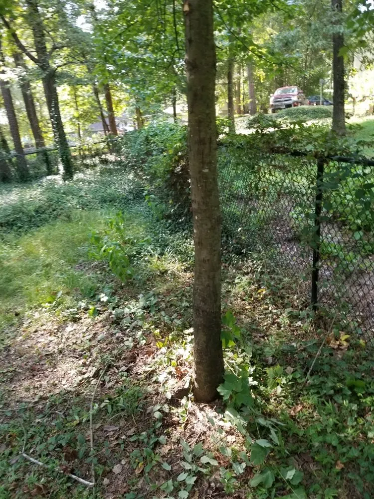 Professional landscaping services for residential properties across Tyler, TX - Quick Drops Lawn Care