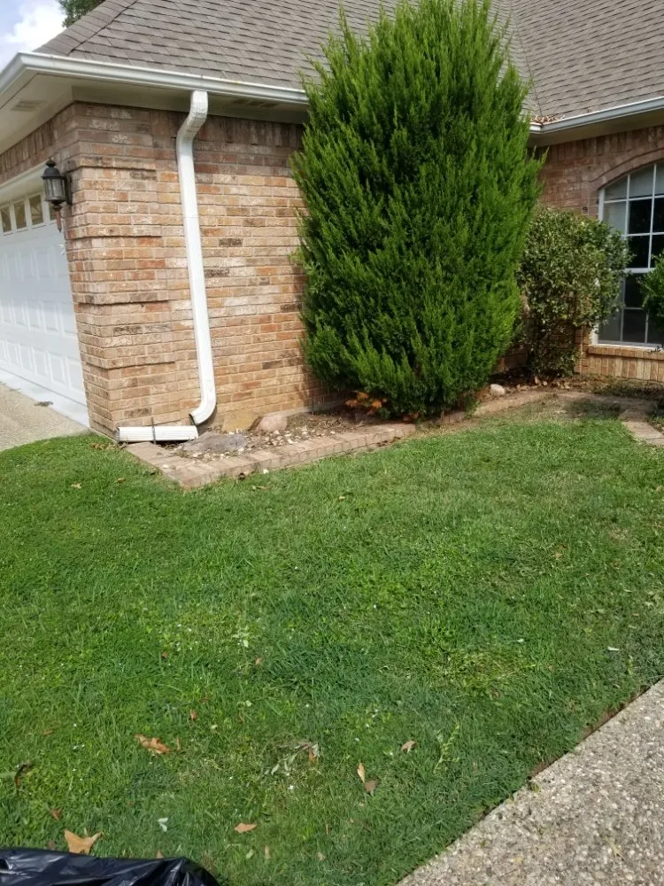 Trusted landscaping services experts serving Tyler, TX - Quick Drops Lawn Care