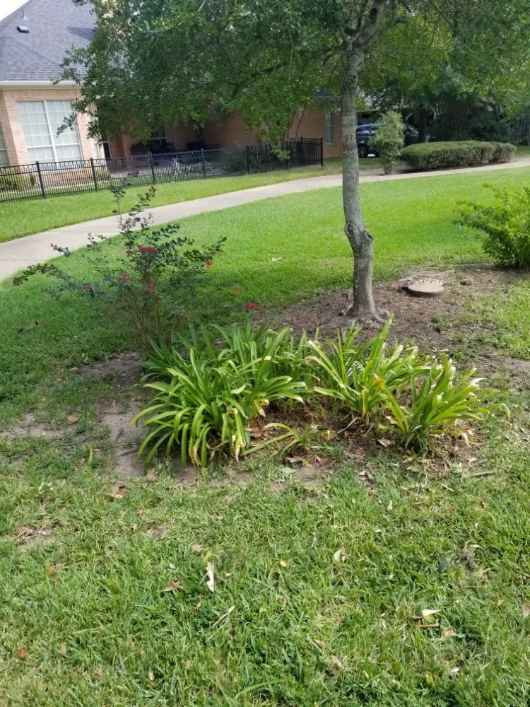 Top-rated lawn care service for outdoor upgrades across Tyler, TX - Quick Drops Lawn Care