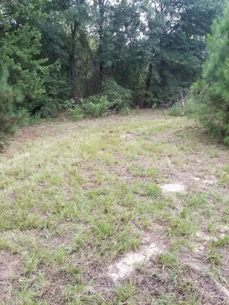 Custom landscaping services in Tyler, TX by Quick Drops Lawn Care