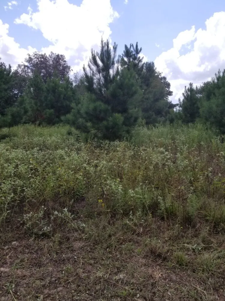 Top-rated lawn care service in Tyler, TX - Quick Drops Lawn Care