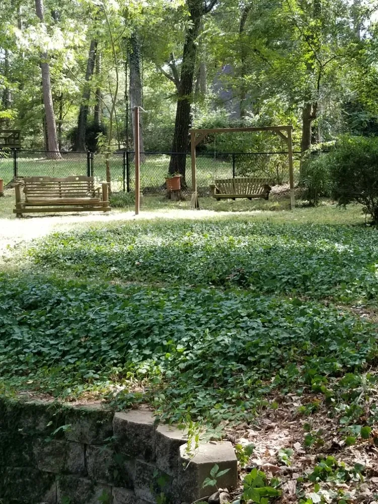 Reliable yard cleanup service for residential properties in Tyler, TX by Quick Drops Lawn Care