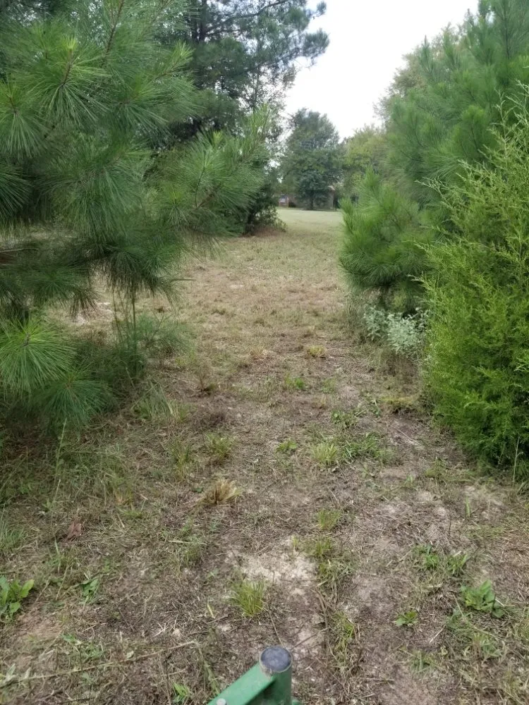 Top-rated landscaping services for outdoor upgrades across Tyler, TX - Quick Drops Lawn Care