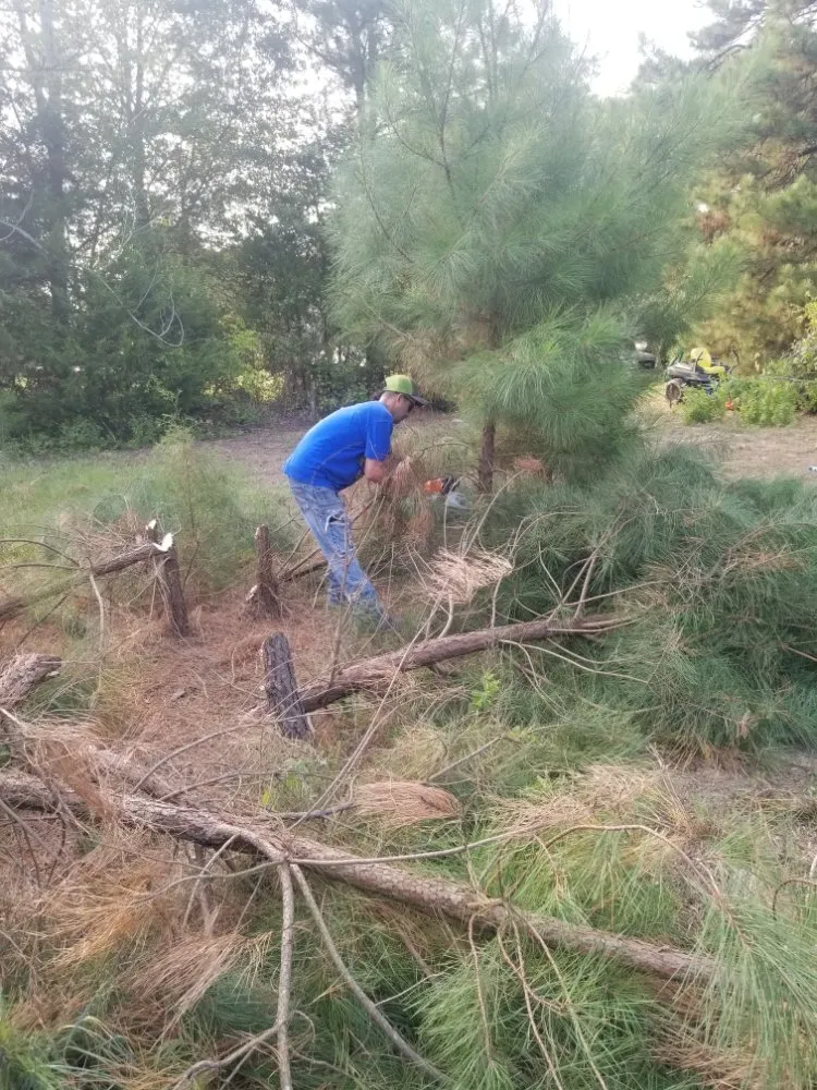 Professional lawn care service for outdoor upgrades across Tyler, TX - Quick Drops Lawn Care