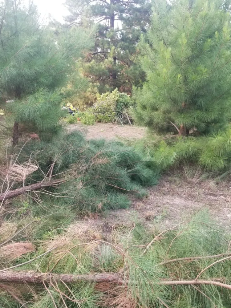 Trusted lawn care service with custom design in Tyler, TX by Quick Drops Lawn Care