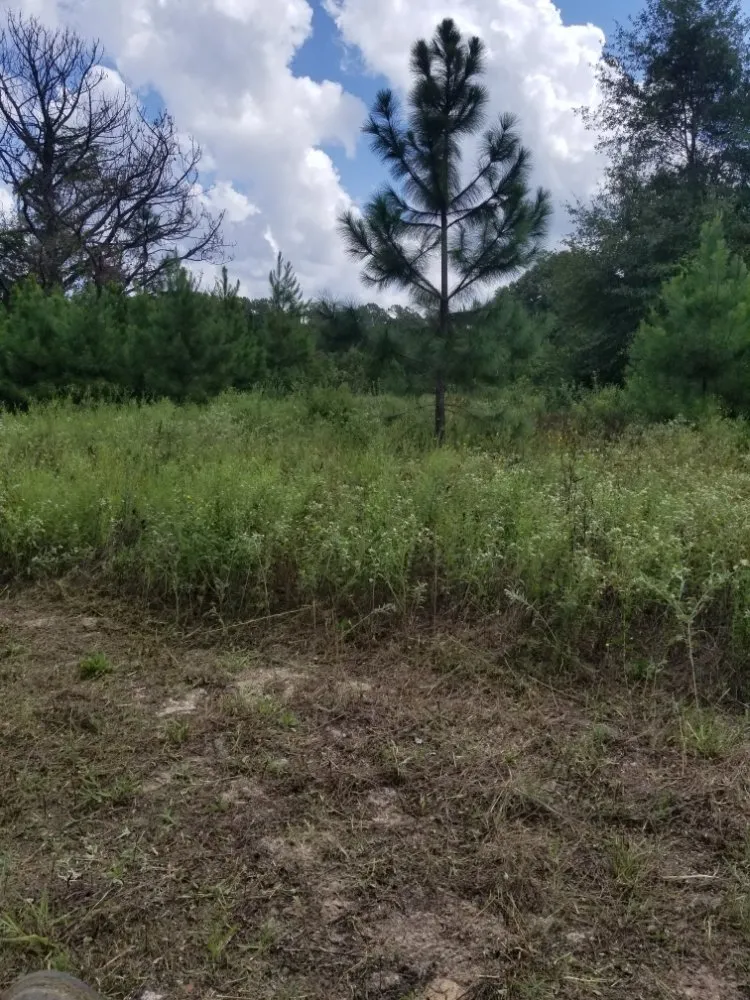 Expert yard cleanup service in Tyler, TX - Quick Drops Lawn Care