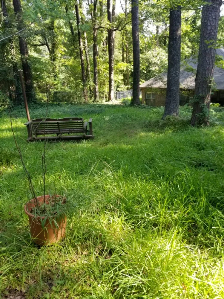 Local lawn mowing service for homes across Tyler, TX - Quick Drops Lawn Care