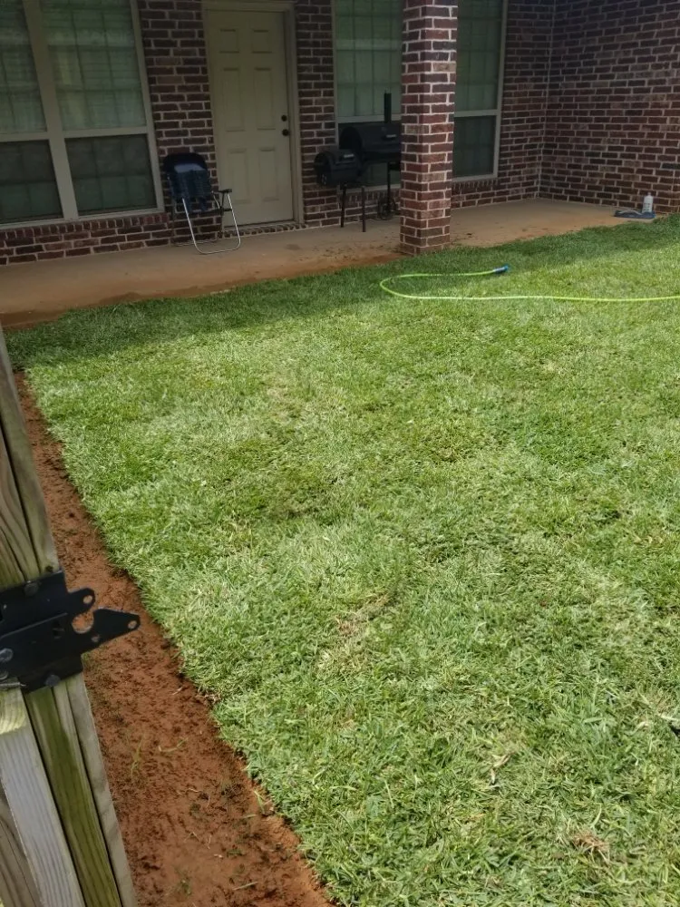 Trusted lawn care service for year-round maintenance in Tyler, TX by Quick Drops Lawn Care