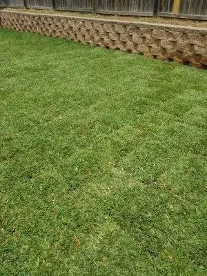 Quick Drops Lawn Care Logo