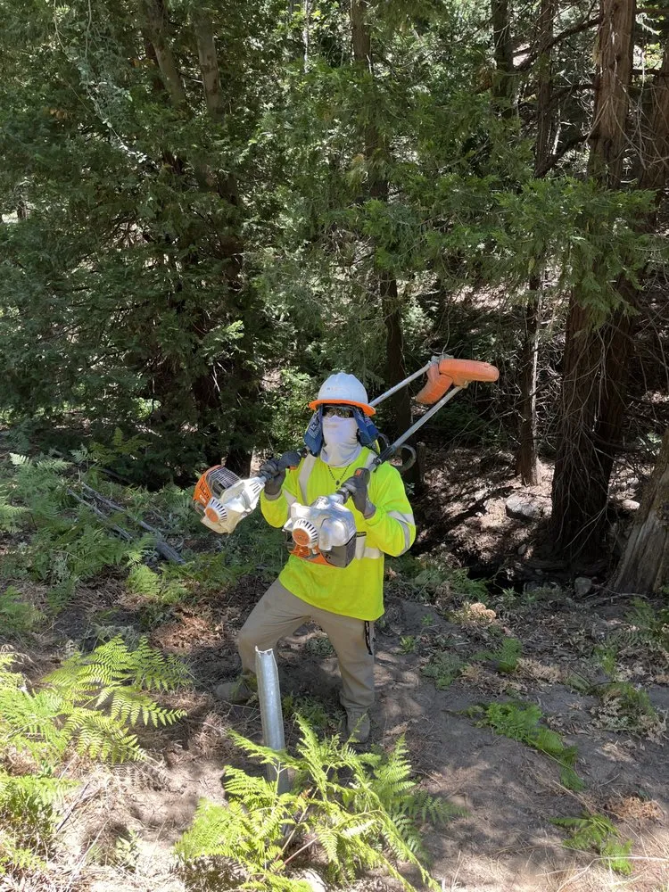 Expert residential landscaping experts serving Apple Valley, CA - Quick Fix Landscaping