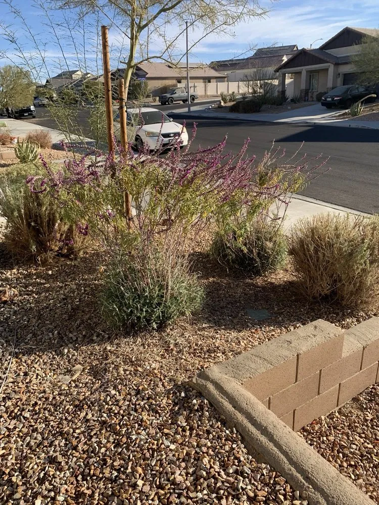 Trusted outdoor landscaping in Apple Valley, CA by Quick Fix Landscaping