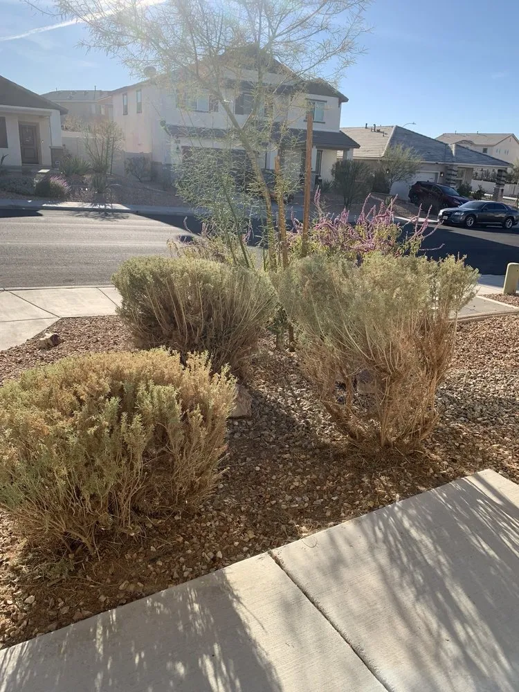 Custom landscape installation in Apple Valley, CA - Quick Fix Landscaping