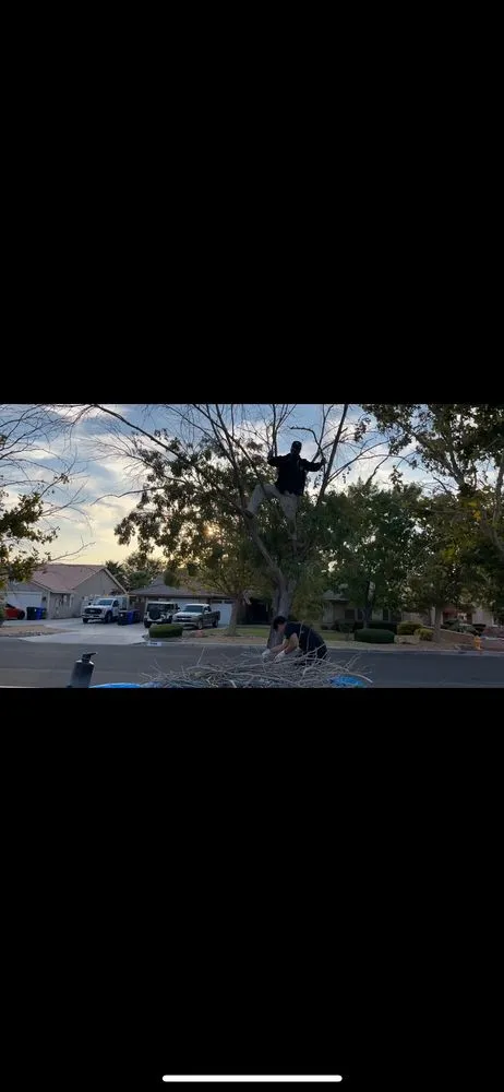 Expert garden landscaping experts serving Apple Valley, CA - Quick Fix Landscaping