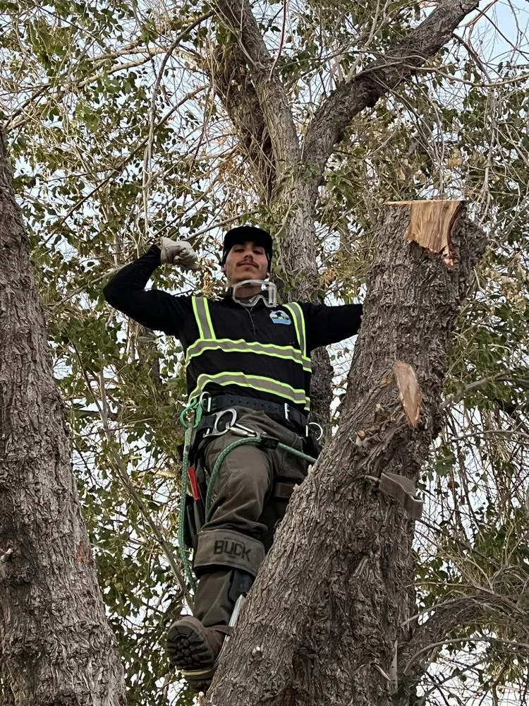 Trusted lawn care service for outdoor upgrades across Apple Valley, CA - Quick Fix Landscaping