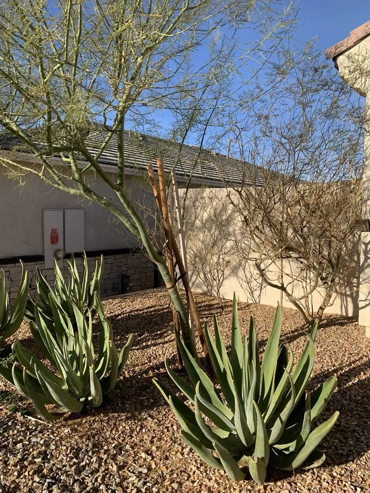 Local residential landscaping with custom design in Apple Valley, CA by Quick Fix Landscaping