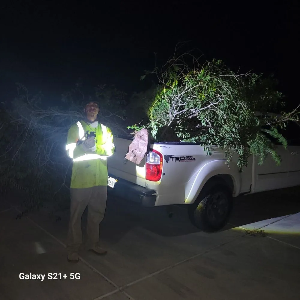 Expert lawn mowing service in Apple Valley, CA by Quick Fix Landscaping