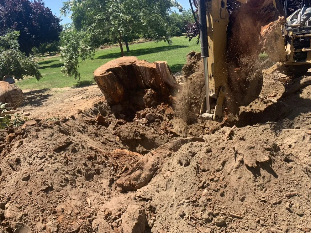 Custom lawn mowing service for outdoor upgrades across Fresno, CA - Quick Fix Tree Service