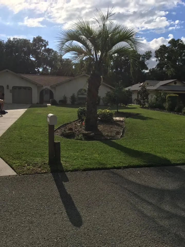 Local garden landscaping in New Port Richey, FL by Quick Flipps