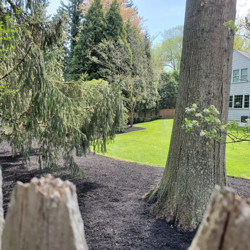 Professional lawn mowing service experts serving Norristown, PA - Quick lawn care services